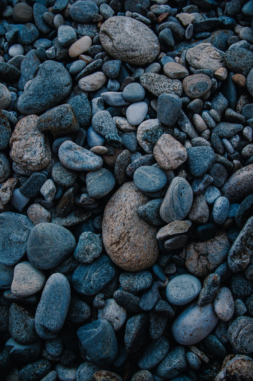 black river pebbles