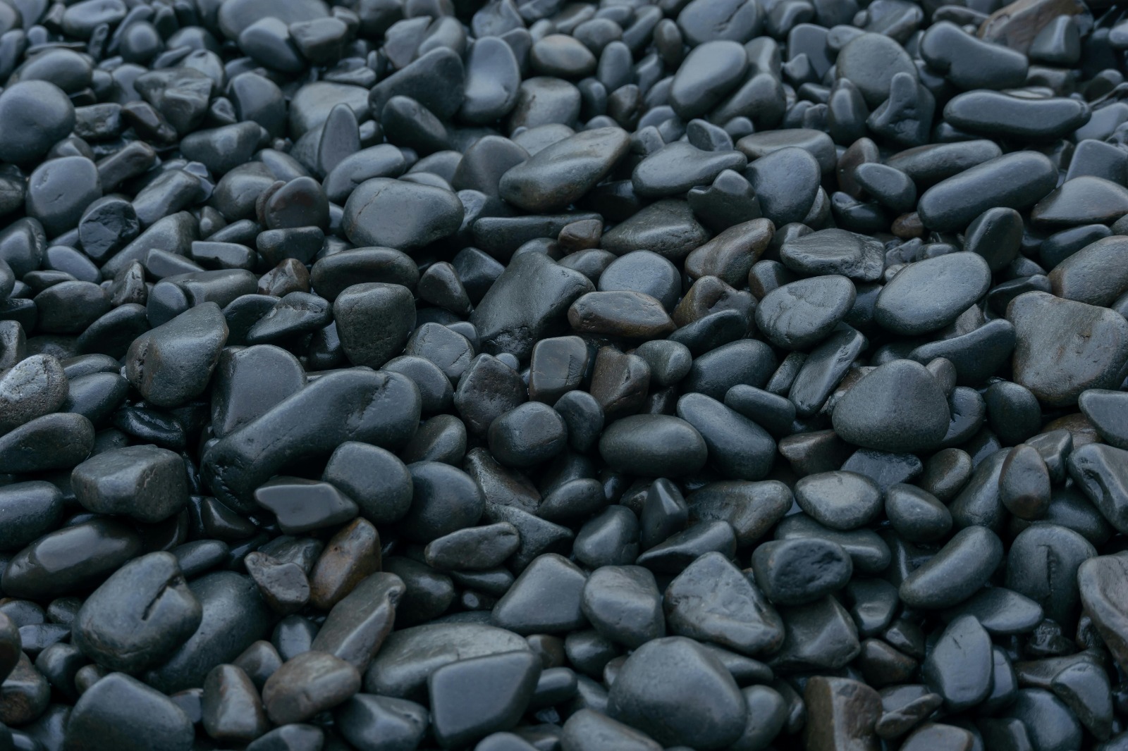 small black river
                                pebbles